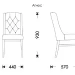 Схема розкладання Агнес