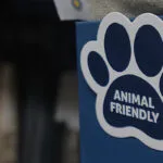 Як обрати оббивку для меблів, якщо є домашні тварини?